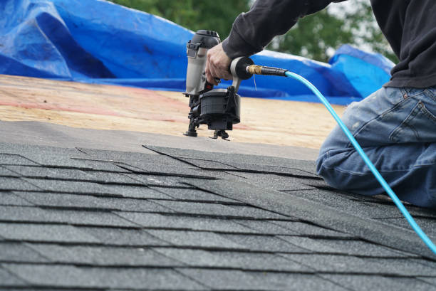 Best Roof Gutter Cleaning  in Holly Springs, NC